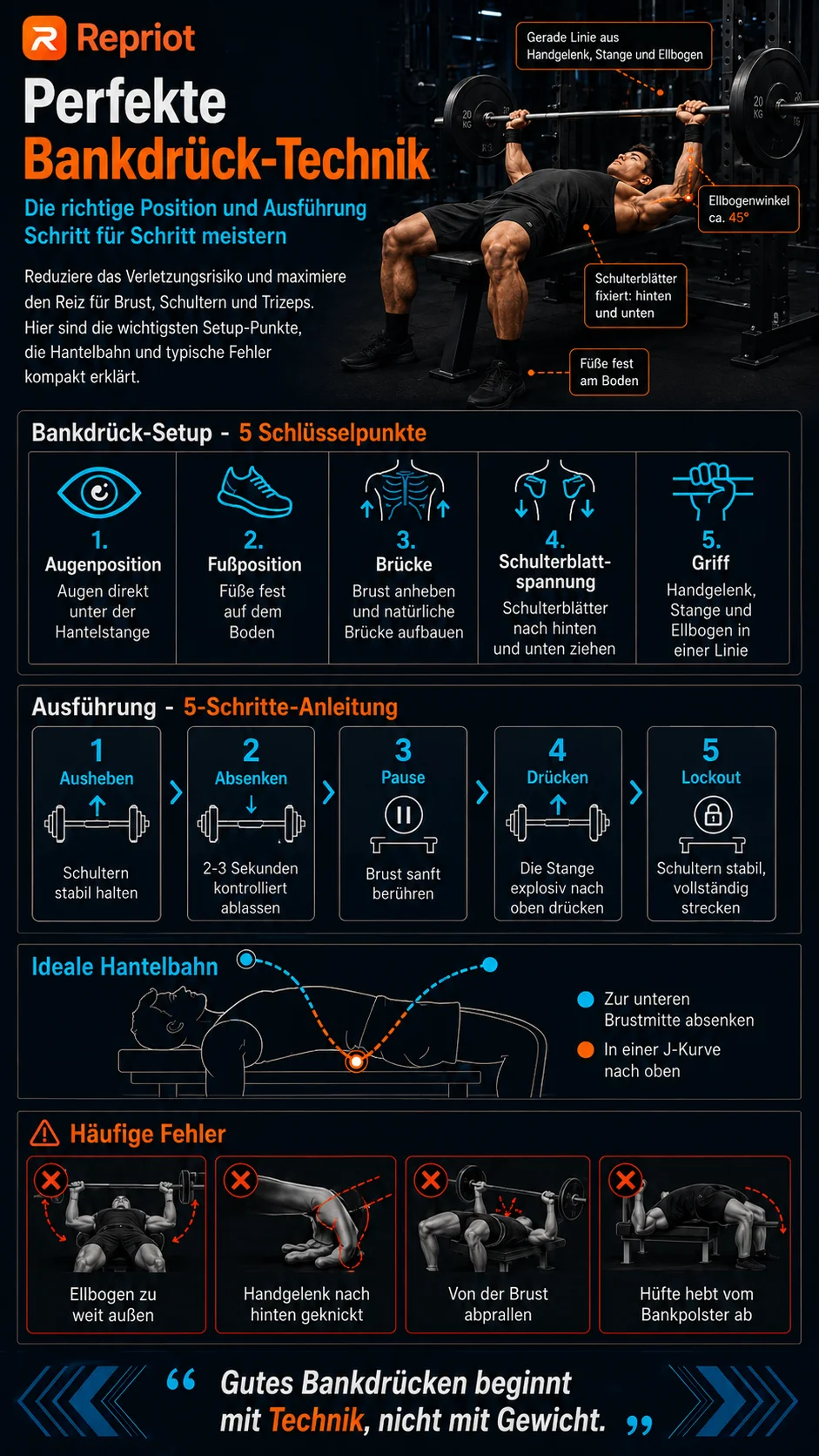 Perfekte Bankdrück-Technik — Infografik zu den 5 Setup-Schlüsselpunkten, der 5-Schritte-Anleitung, der idealen Hantelbahn und häufigen Fehlern