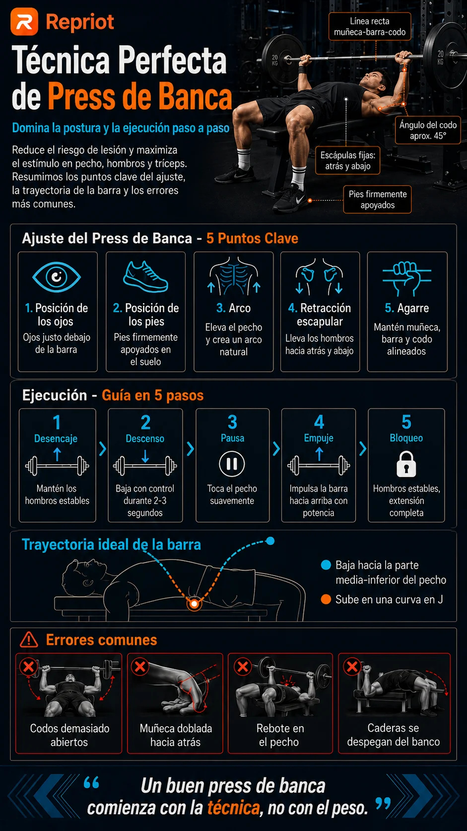 Técnica perfecta de press de banca — infografía sobre los 5 puntos clave del ajuste, la guía de ejecución en 5 pasos, la trayectoria ideal de la barra y los errores comunes