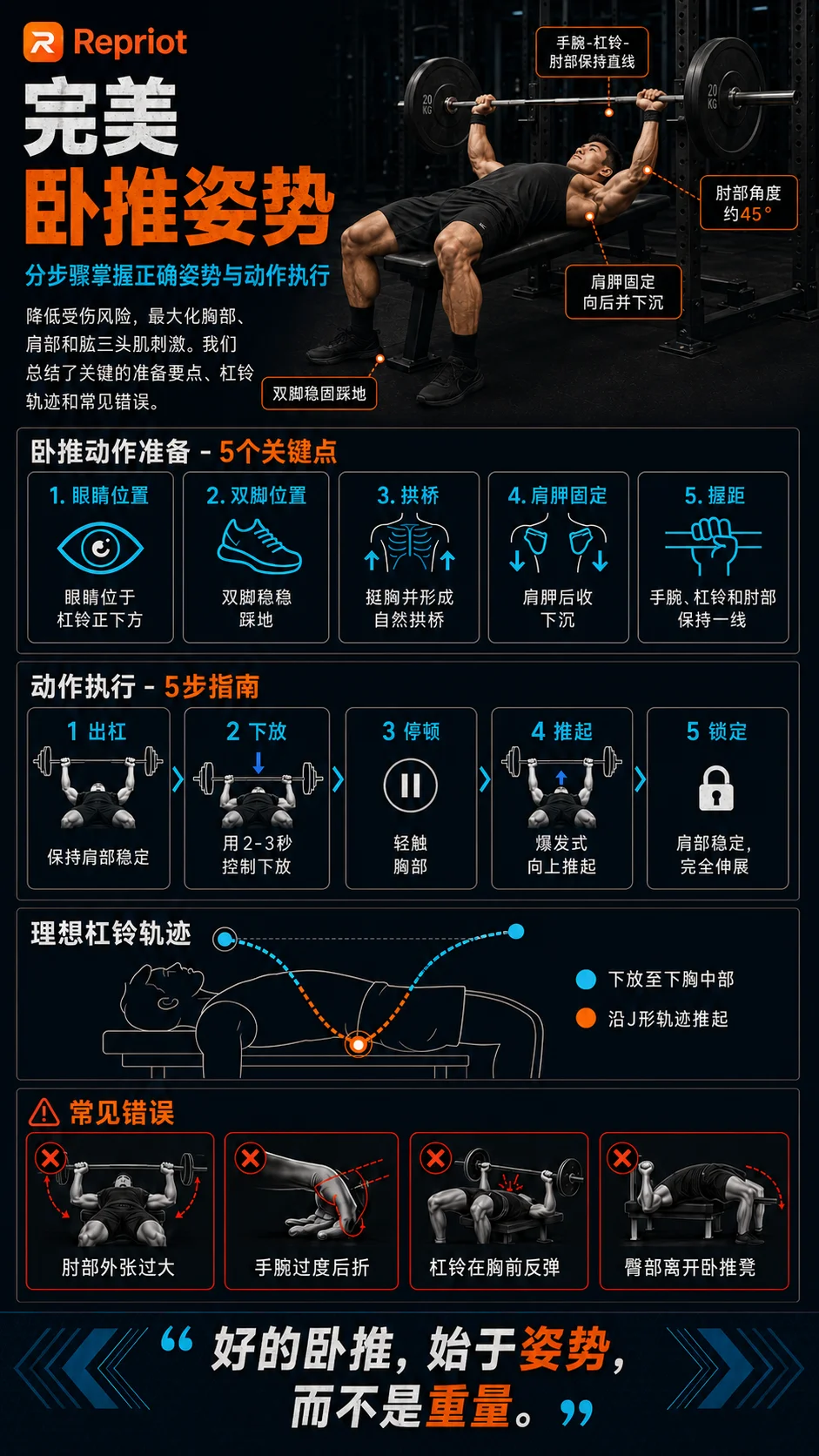 完美卧推姿势 — 5个关键准备点、5步执行指南、理想杠铃轨迹与常见错误信息图