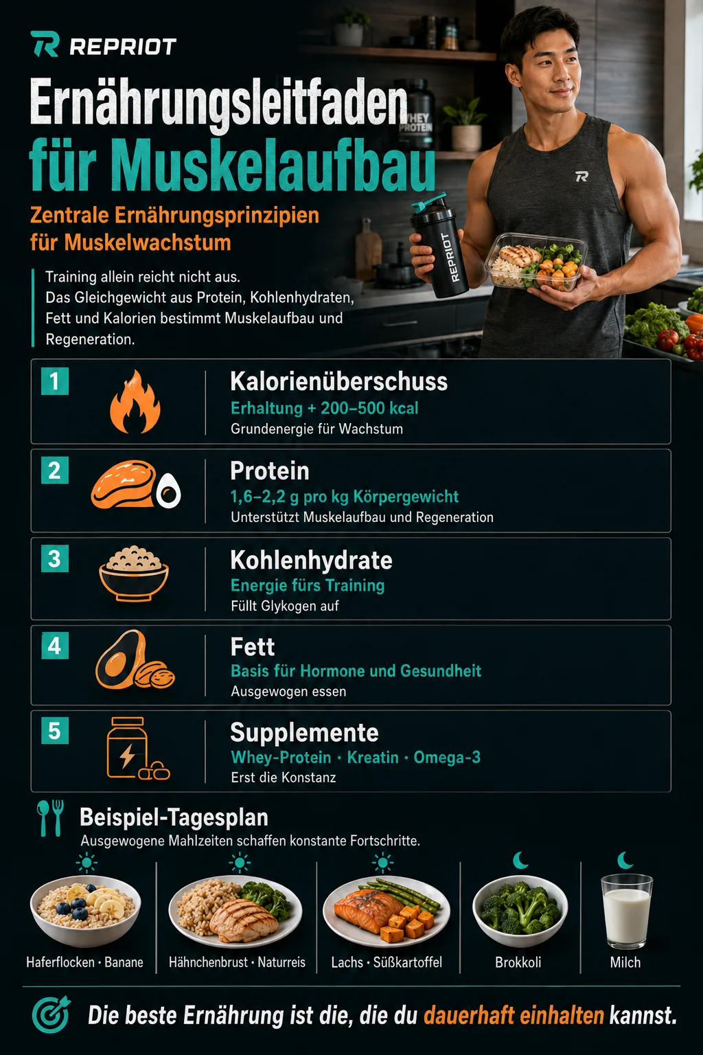 Ernährungsleitfaden für Muskelaufbau — Infografik zu Kalorienüberschuss, Protein, Kohlenhydraten, Fett, Supplementen und Beispiel-Tagesplan