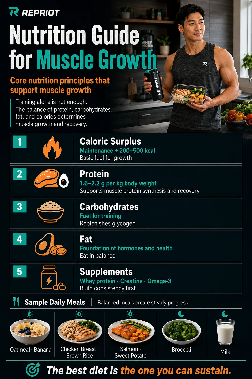 Nutrition guide for muscle growth — infographic on caloric surplus, protein, carbohydrates, fat, supplements, and sample daily meals