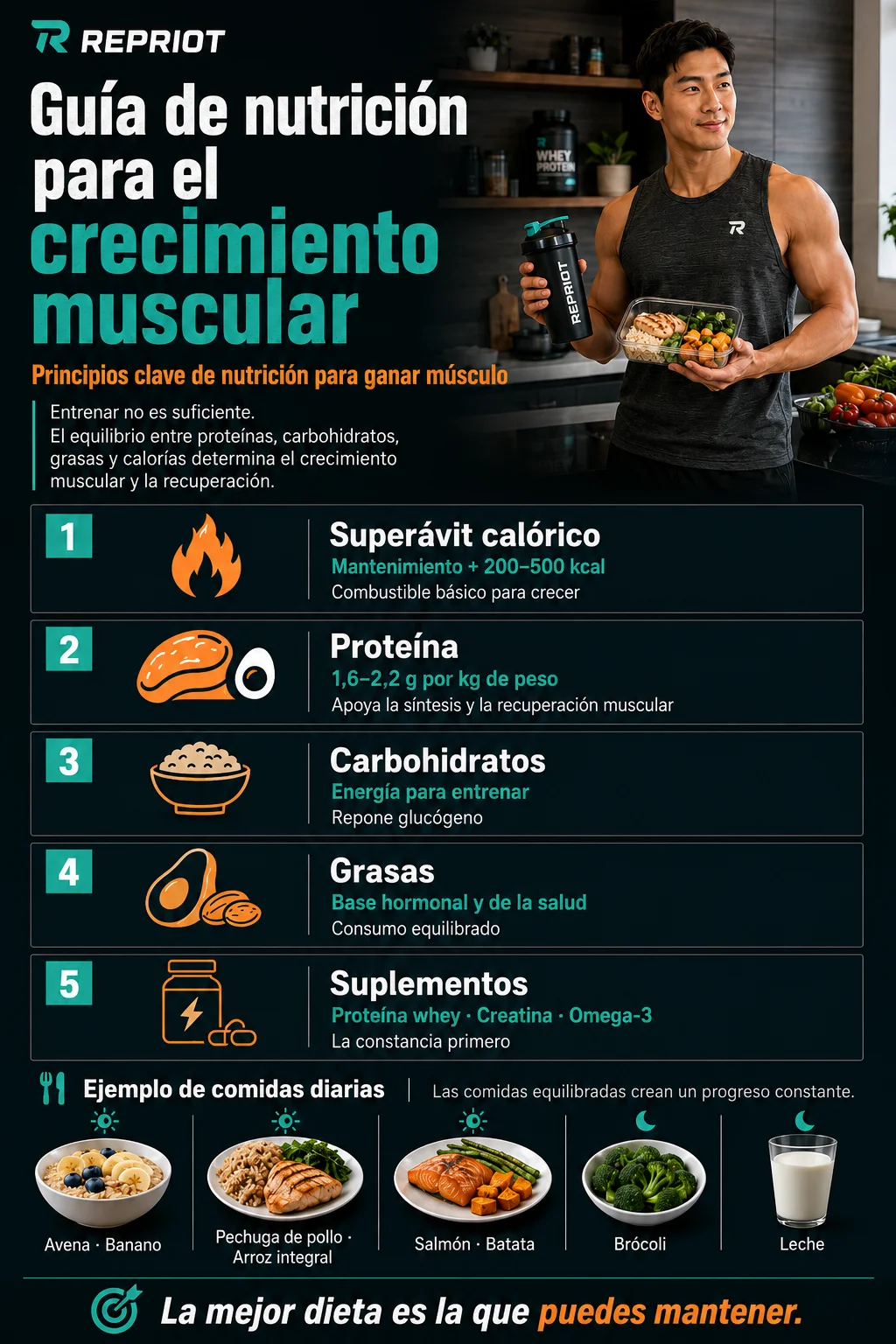 Guía de nutrición para el crecimiento muscular — infografía sobre superávit calórico, proteína, carbohidratos, grasas, suplementos y comidas diarias de ejemplo