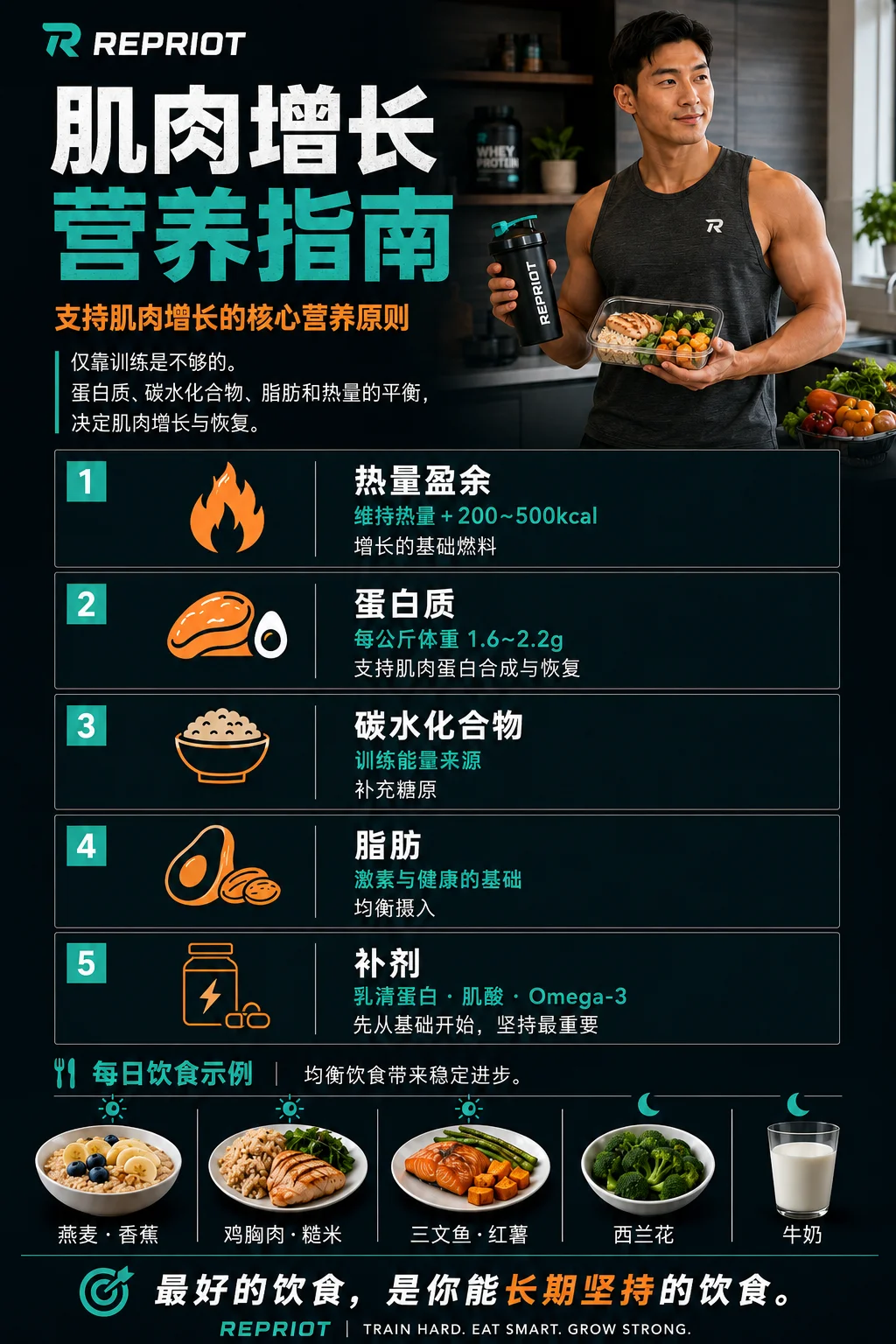 肌肉增长营养指南 — 热量盈余、蛋白质、碳水化合物、脂肪、补剂与每日饮食示例信息图
