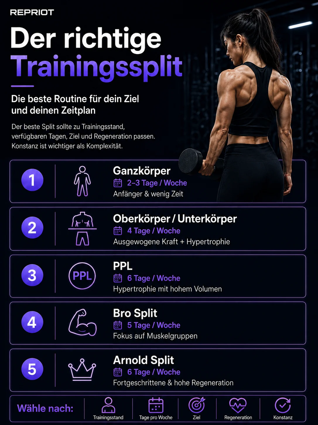 Den richtigen Trainingssplit wählen — Infografik zum Vergleich von Ganzkörper, Oberkörper/Unterkörper, PPL, Bro Split und Arnold Split