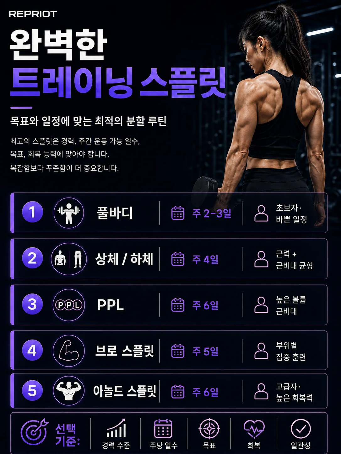 나에게 맞는 트레이닝 스플릿 고르기 — 풀바디·상하체·PPL·브로 스플릿·아놀드 스플릿 비교 인포그래픽