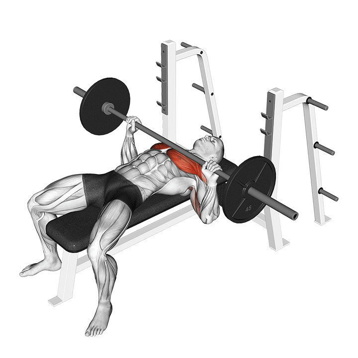 Développé couché à la barre - Start Position