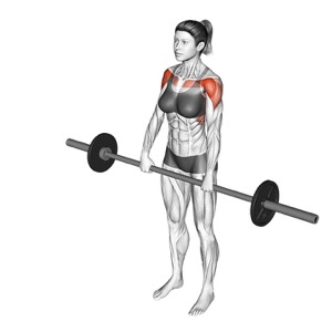 Barbell Front Raise