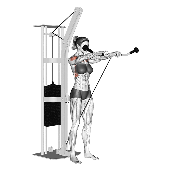 Cable Front Raise - End Position