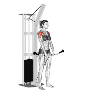 Cable Front Raise
