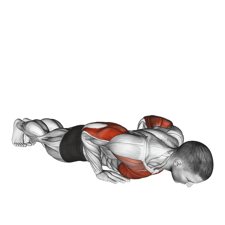 Flexión de Brazos con Agarre Cerrado - End Position