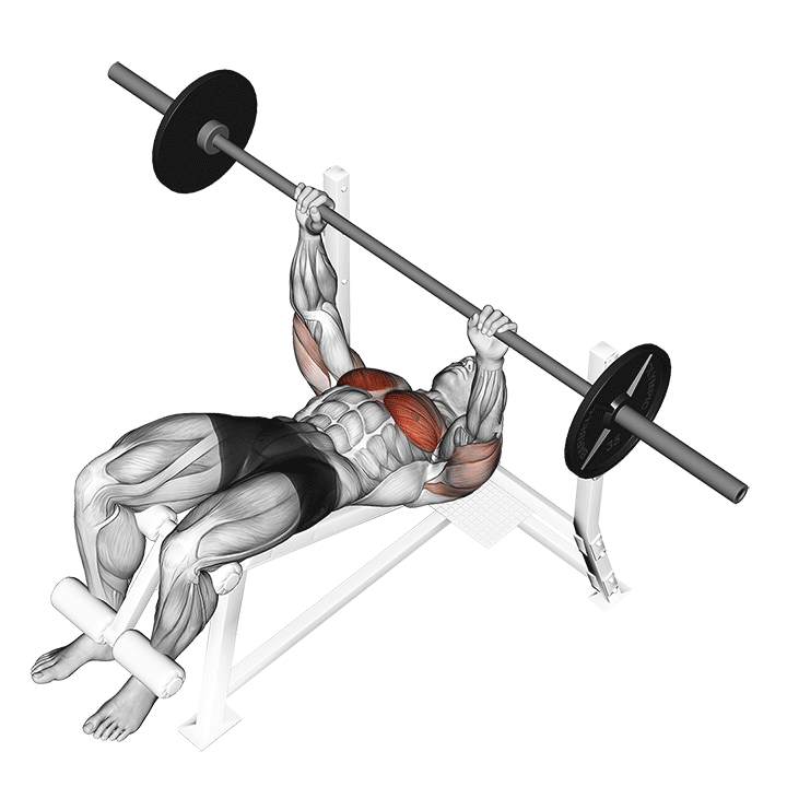 Decline Barbell Bench Press - End Position