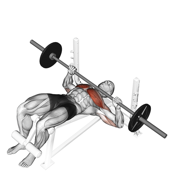 Decline Barbell Bench Press - Start Position