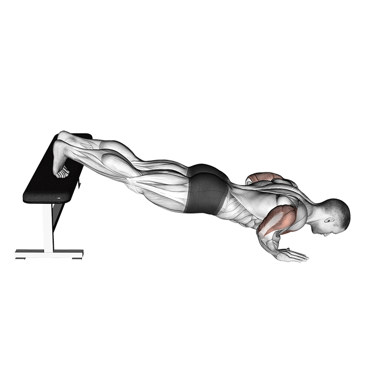 Pompe déclinée - End Position