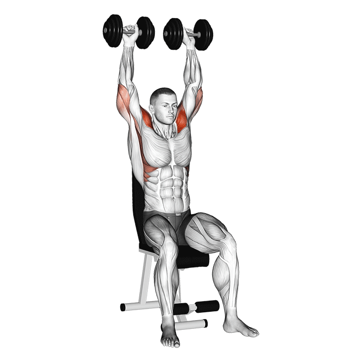 Kurzhantel-Arnold-Press - End Position