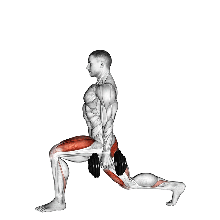Zancada Inversa con Mancuernas - End Position