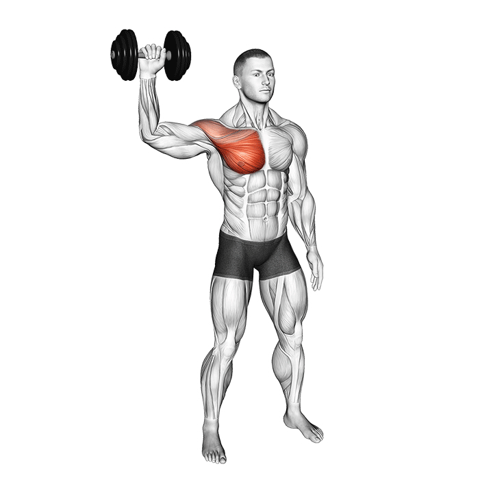 Dumbbell Shoulder Internal Rotation - End Position