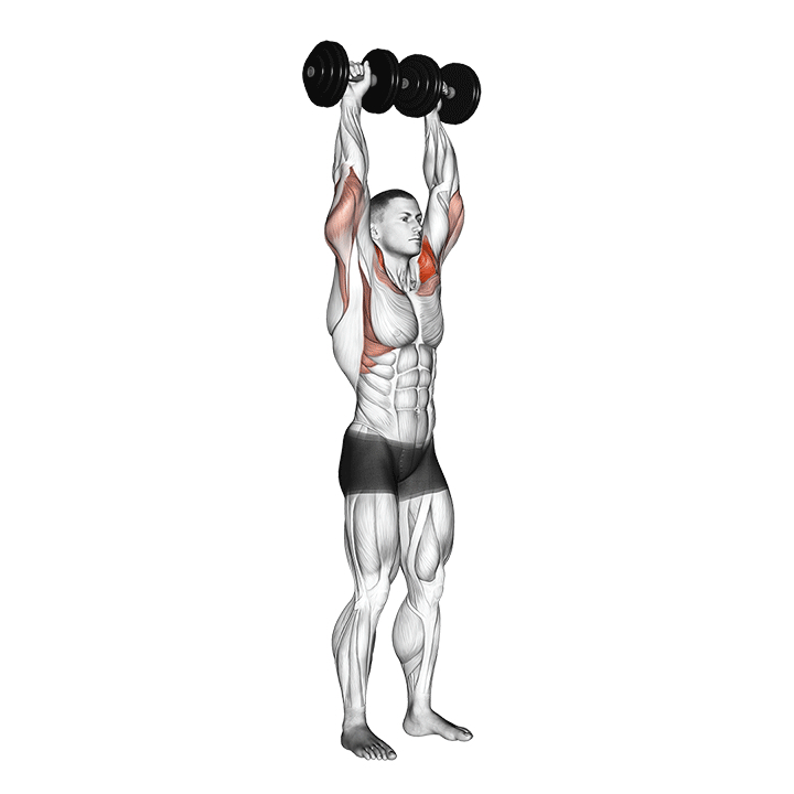 Press de Hombros con Mancuernas - End Position