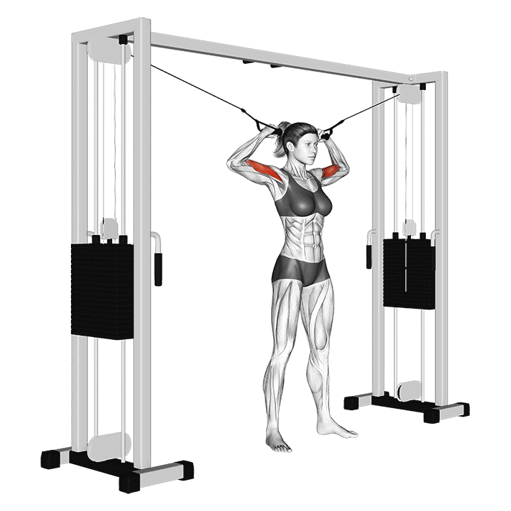 High Cable Curl - End Position