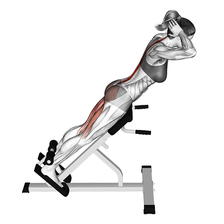 Hyperextension - End Position
