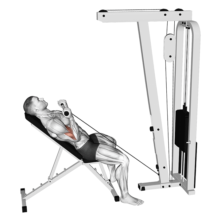 Incline Cable Biceps Curl - End Position