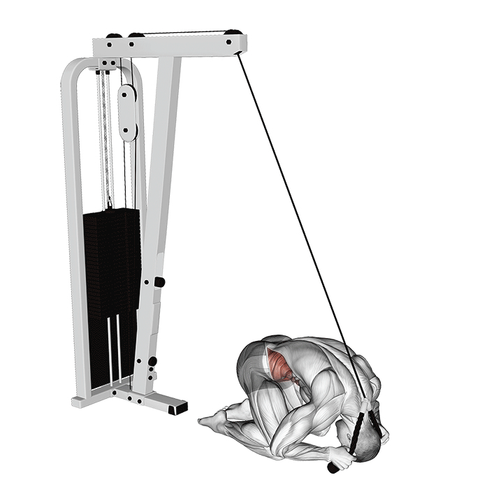 Kneeling Cable Crunch - End Position