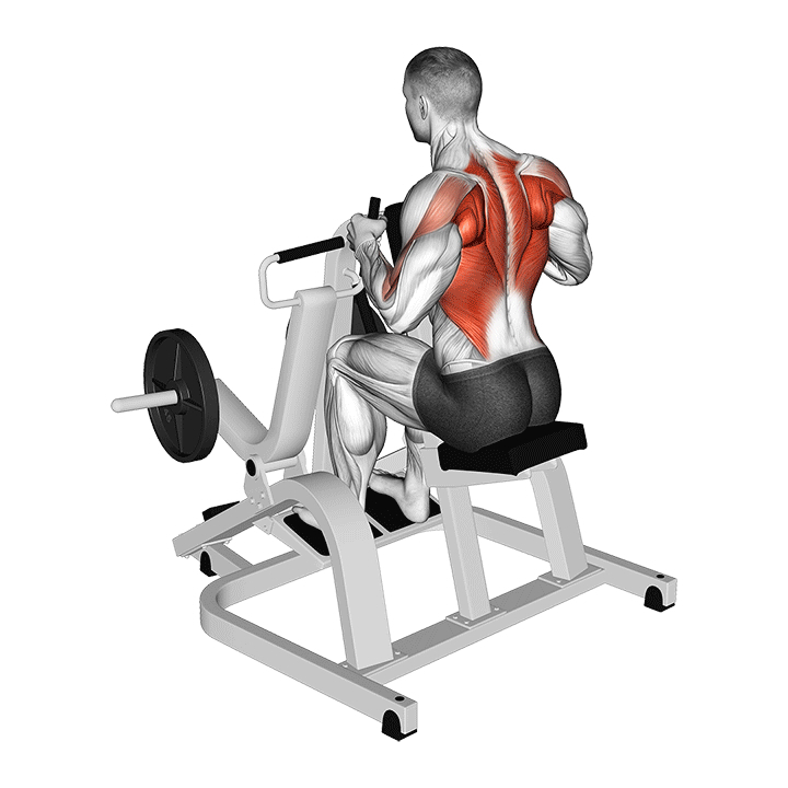 Maschinen-Rudern mit neutralem Griff - End Position