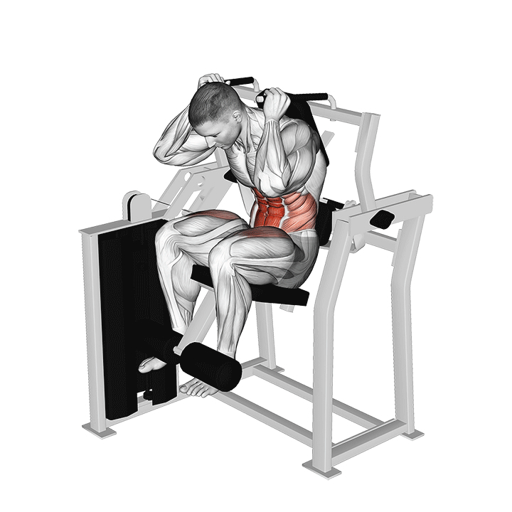 Crunch abdominal à la machine - End Position