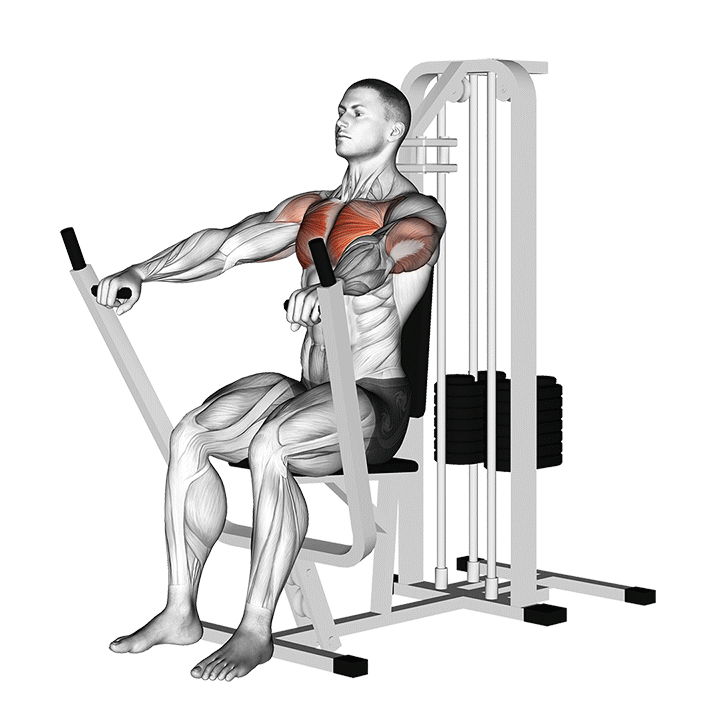 Machine Chest Press - End Position