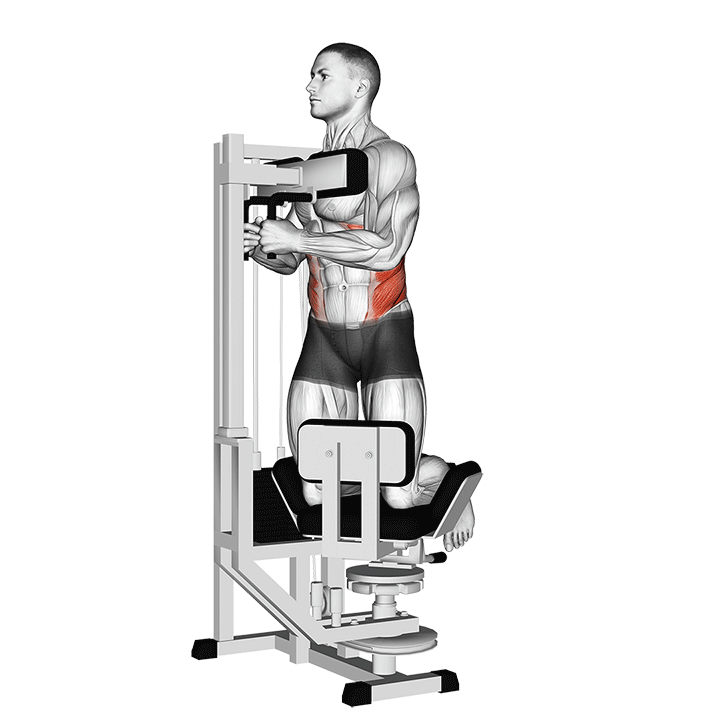 Machine Kneeling Twist - End Position
