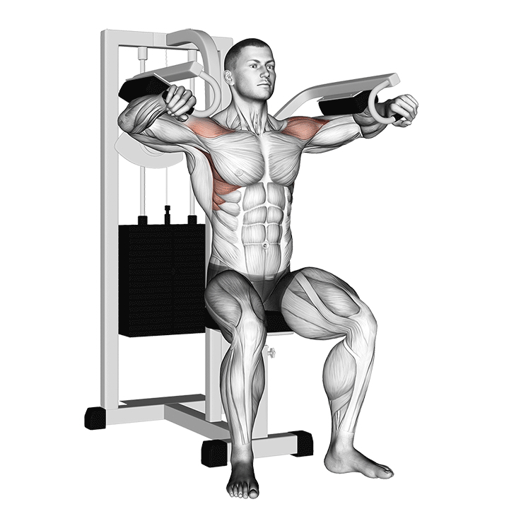 Machine Lateral Raise - End Position