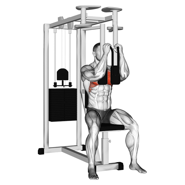 Machine Pec Deck Fly - End Position