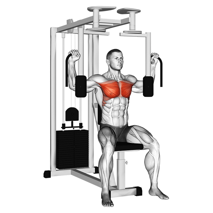 Machine Pec Deck Fly - Start Position