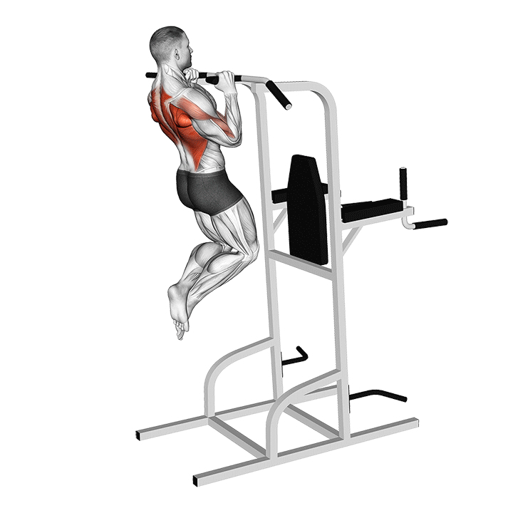 Klimmzug mit neutralem Griff - End Position