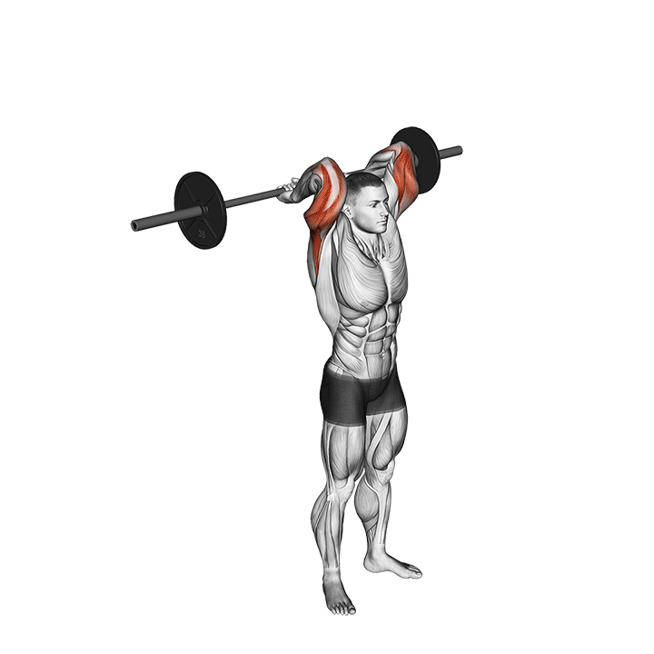 Overhead Barbell Triceps Extension - End Position