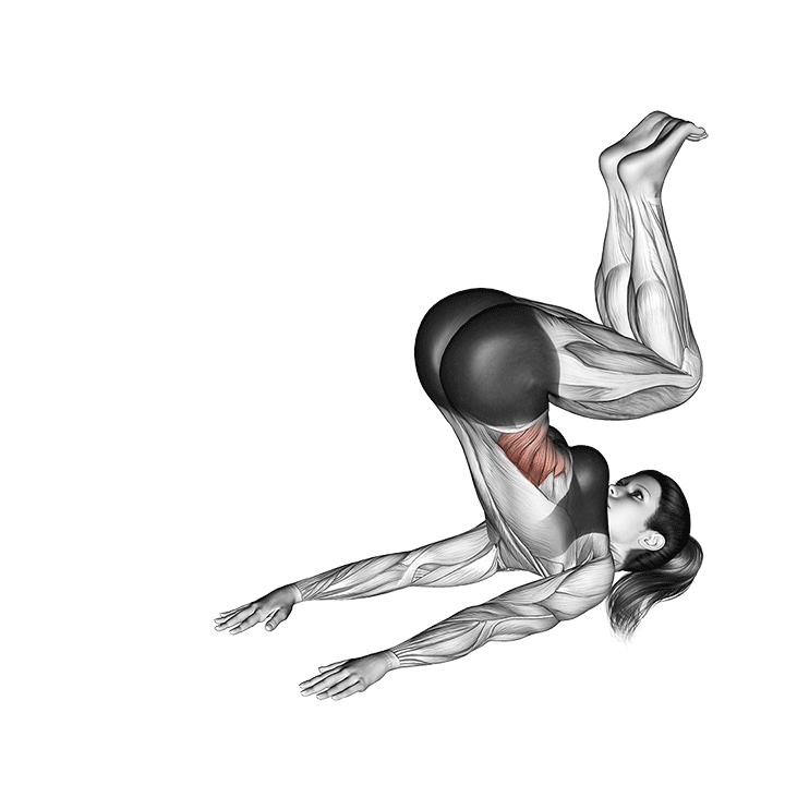 Reverse Crunch - End Position
