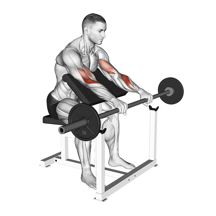 Reverse Grip Barbell Preacher Curl - Start Position