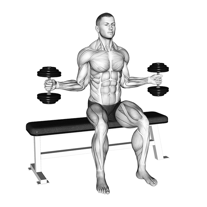 Rotación Externa de Hombro con Mancuerna Sentado - End Position