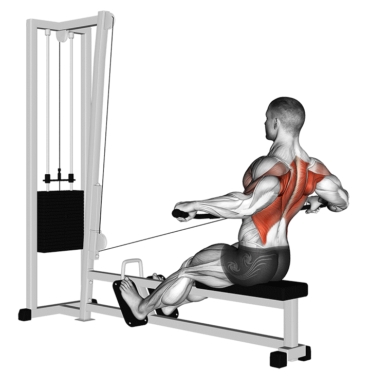 Seated Wide Grip Cable Row - End Position