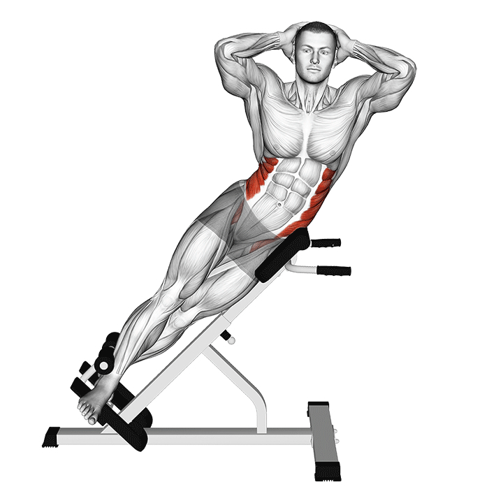 体侧屈伸 - End Position