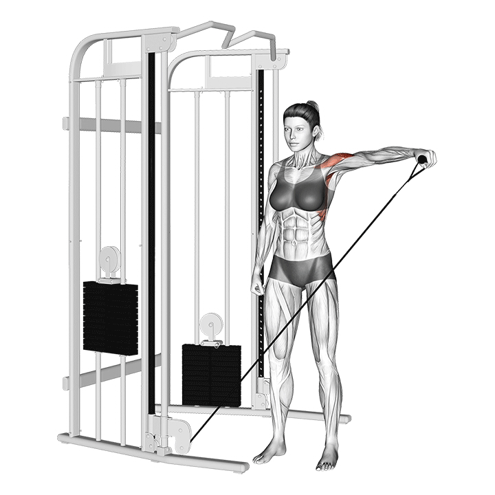 Single Arm Cable Lateral Raise - End Position