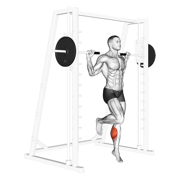 Smith Machine Single Leg Calf Raise - End Position