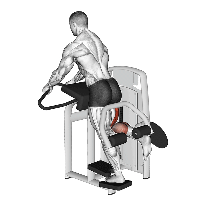 Leg curl debout à la machine - End Position