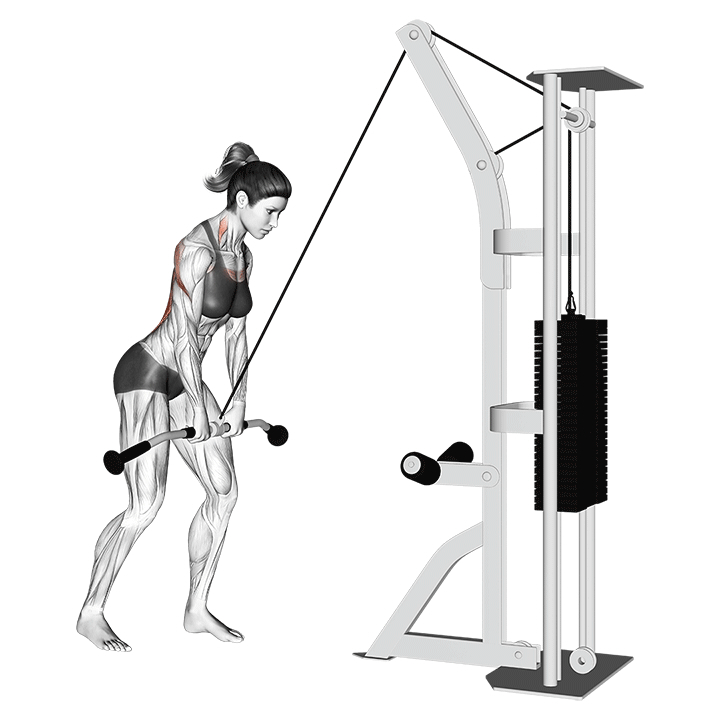 Tirage bras tendus pour grand dorsal - End Position