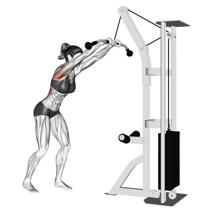 Tirage bras tendus pour grand dorsal - Start Position